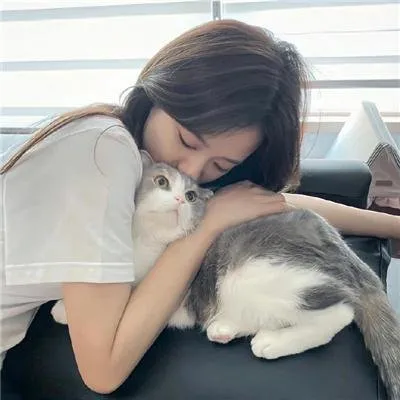 【大尺度揭秘】《猪猡之王》无删减版：校园霸凌引发的连环杀人案，绝望的反击让人窒息